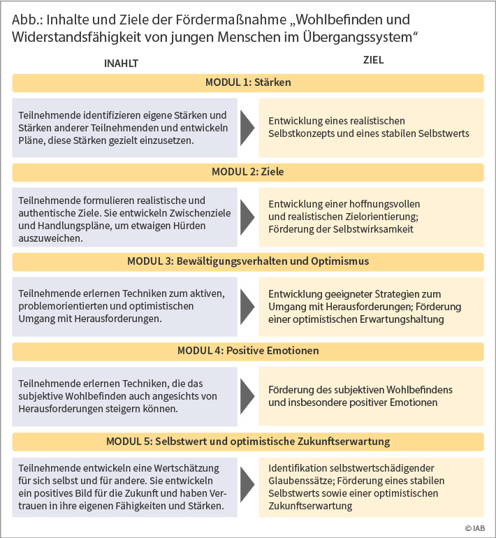 Abbildung: Inhalte und Ziele der Fördermaßnahme „Wohlbefinden und Widerstandsfähigkeit von jungen Menschen im Übergangssystem