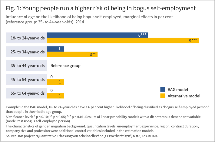 The Figure shows that young people run a higher risk of being in bogus self-employment