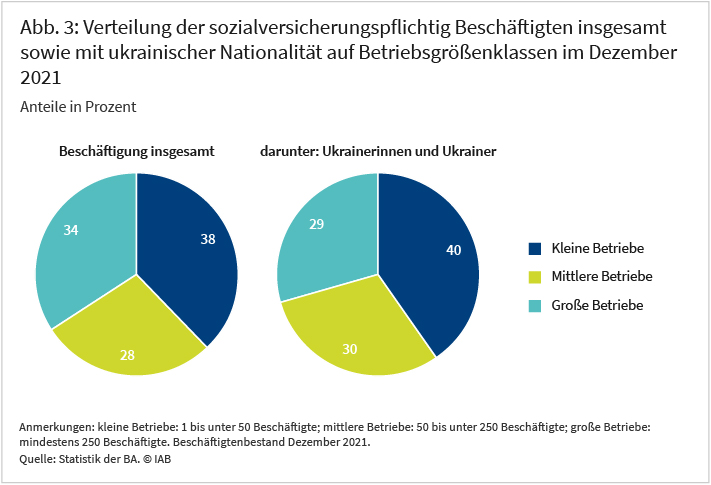 Abbildung 3 zeigt die Verteilung der sozialversicherungspflichtig Beschäftigten insgesamt sowie mit ukrainischer Nationalität auf Betriebsgrößenklassen im Dezember 2021. Der Vergleich zeigt, dass kleine und mittlere Betriebe überproportional häufig Ukrainner*innen beschäftigen. Quelle: Statistik der BA. © IAB