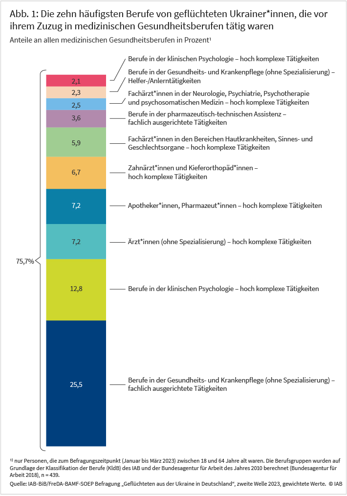 Abbildung 1 zeigt die 10 häufigsten Berufe von ukrainischen Geflüchteten, die vor ihrerem Zuzug in medizinischen Berufen tätig waren, mit Prozentangaben. 25,5 % der Personen aus der Ukraine, die vor ihrer Flucht in medizinischen Gesundheitsberufen gearbeitet haben, hatten fachlich ausgerichtete Tätigkeiten in Gesundheits- und Krankenpflege (ohne Spezialisierung) ausgeübt. Weitere häufige Berufe im medizinischen Gesundheitssektor sind Berufe in der klinischen Psychologie, Ärzte (ohne Spezialisierung), Apotheker, Zahnärzte, Spezialisten in den Bereichen Hautkrankheiten, Sinnes- und Geschlechtsorgane und andere.